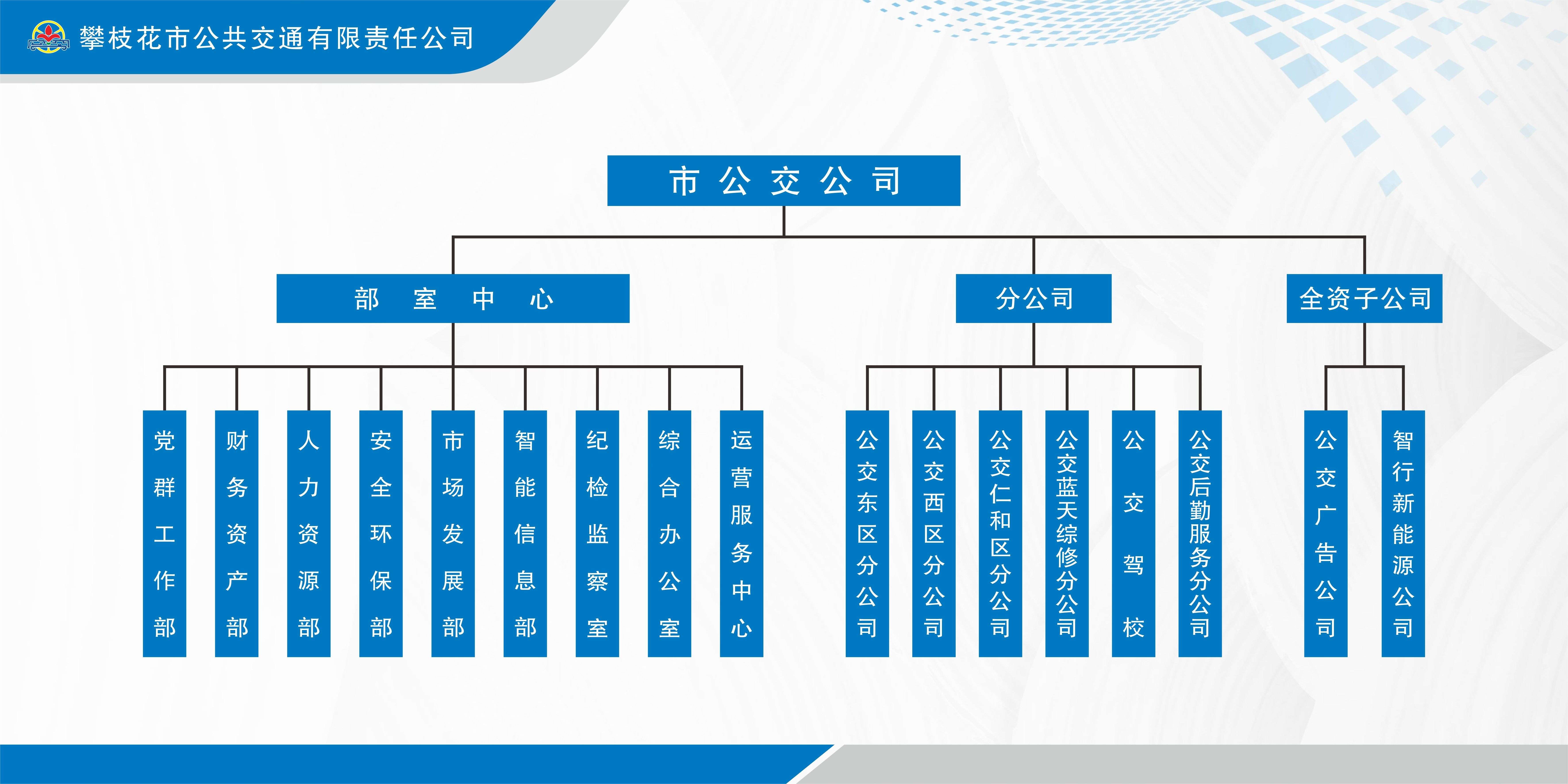 攀枝花市公共交通有限责任公司组织架构图